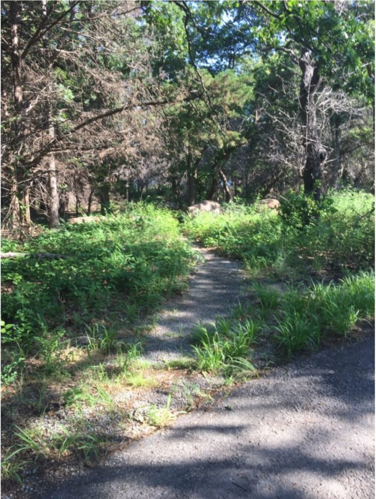 FOW Trail Maintenance - Photo by Emelie Stahler
