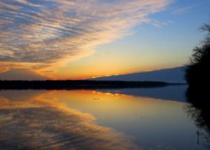 Sunrise over a calm Mississippi river with a large flock of geese in the distance in Port Louisa NWR by Jessica Bolser / USFWS